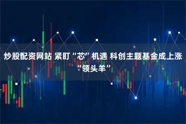 炒股配资网站 紧盯“芯”机遇 科创主题基金成上涨“领头羊”