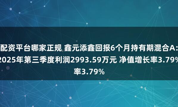 配资平台哪家正规 鑫元添鑫回报6个月持有期混合A：2025年第三季度利润2993.59万元 净值增长率3.79%
