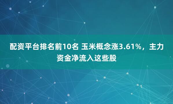 配资平台排名前10名 玉米概念涨3.61%，主力资金净流入这些股